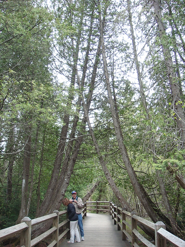 259 Memorial Day [2008 May 23].JPG - Scenes from Tahquanemon Falls in the Michigan Upper Peninsula.